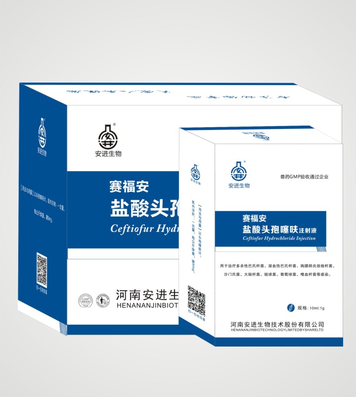 赛福安